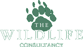 The Wildlife Consultancy